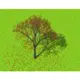 Ardleigh Green Infant School logo