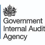 Government Internal Audit Agency logo