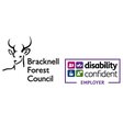 Logo for job Playworker Wokingham - Promise Inclusion Ltd